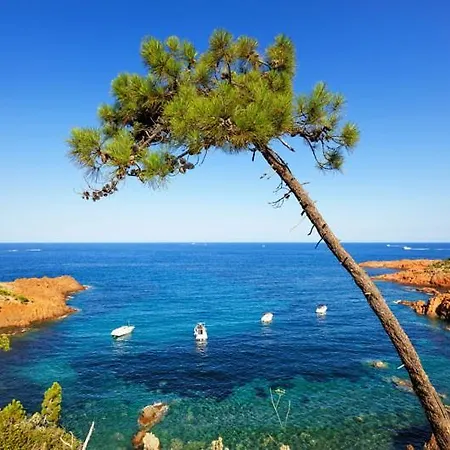 Location Estival Parfaite : A 50 Metres De La Plage, Offrant Magnifique Vue *